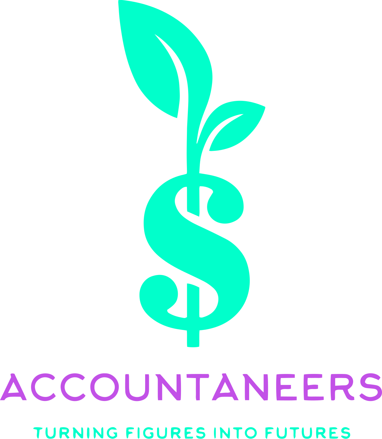 Accountaneers Logo